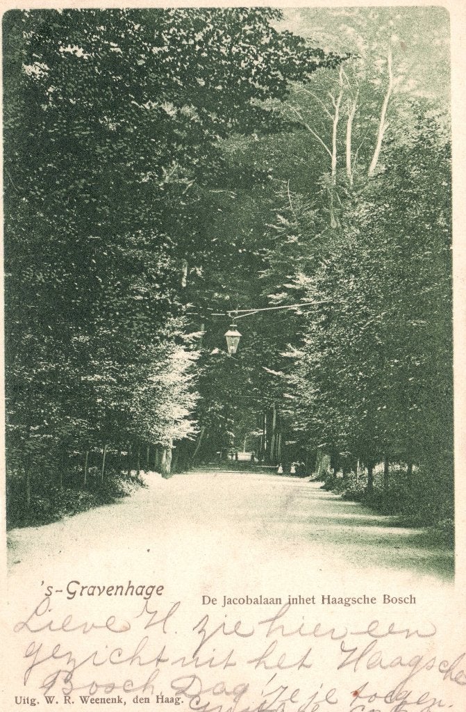 Den Haag, de Jacobalaan in het Haagsche Bosch (Rond 1900), Verzamelen, Ophalen of Verzenden, Voor 1920, Ongelopen, Zuid-Holland
