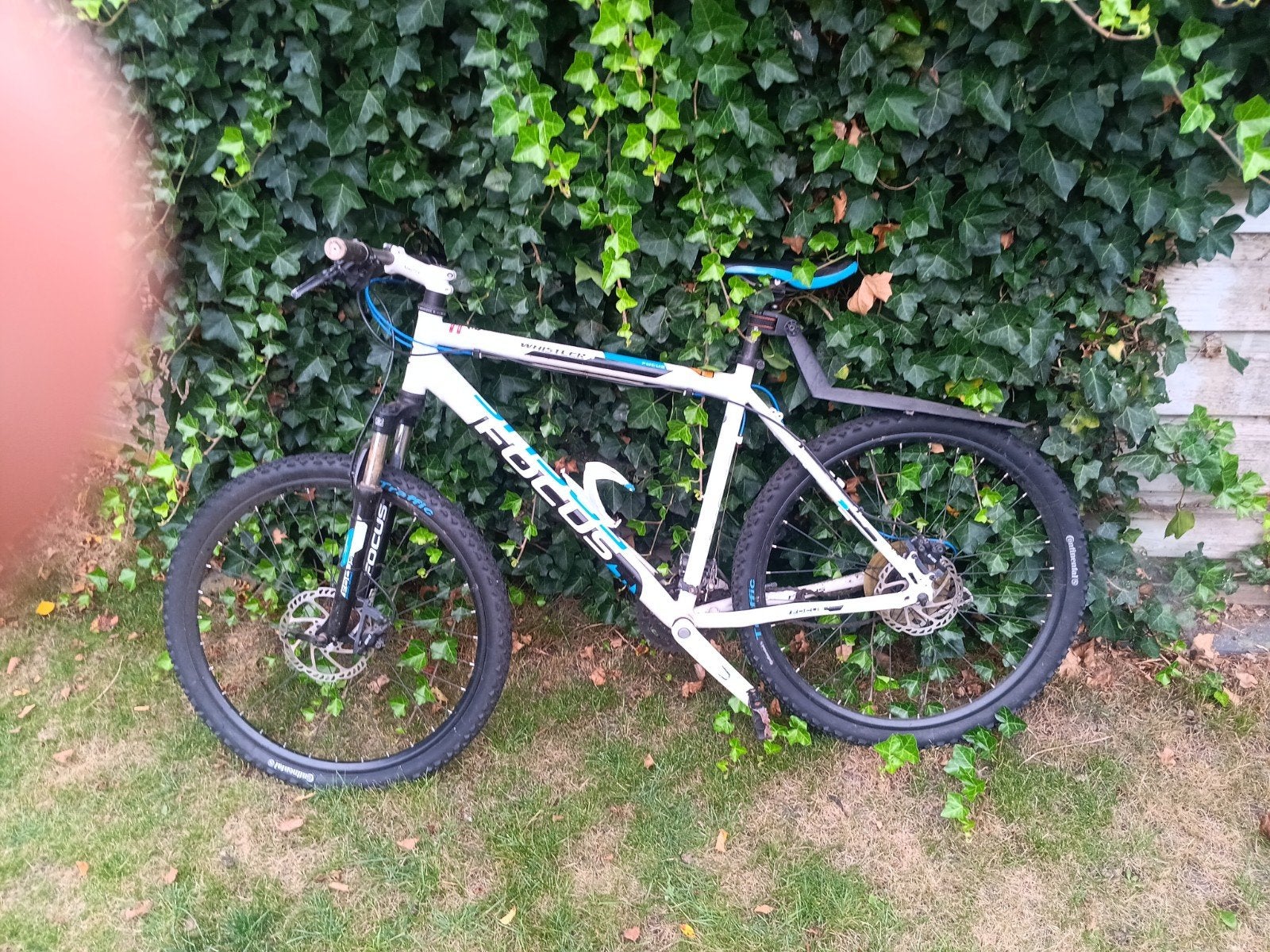 Focus Whistler Mountainbike - Wit/Blauw - Goede Staat, Gebruikt, Hardtail, Heren, 45 tot 49 cm
