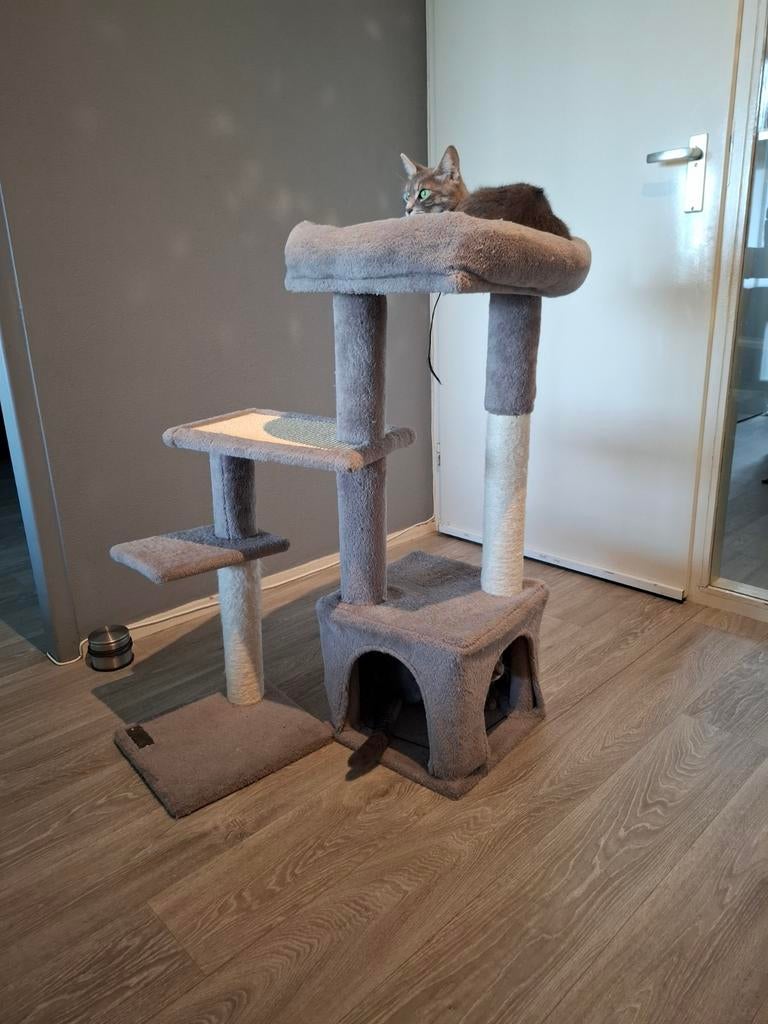 Krabpaal, Dieren en Toebehoren, Ophalen of Verzenden, Nieuw, Krabpaal