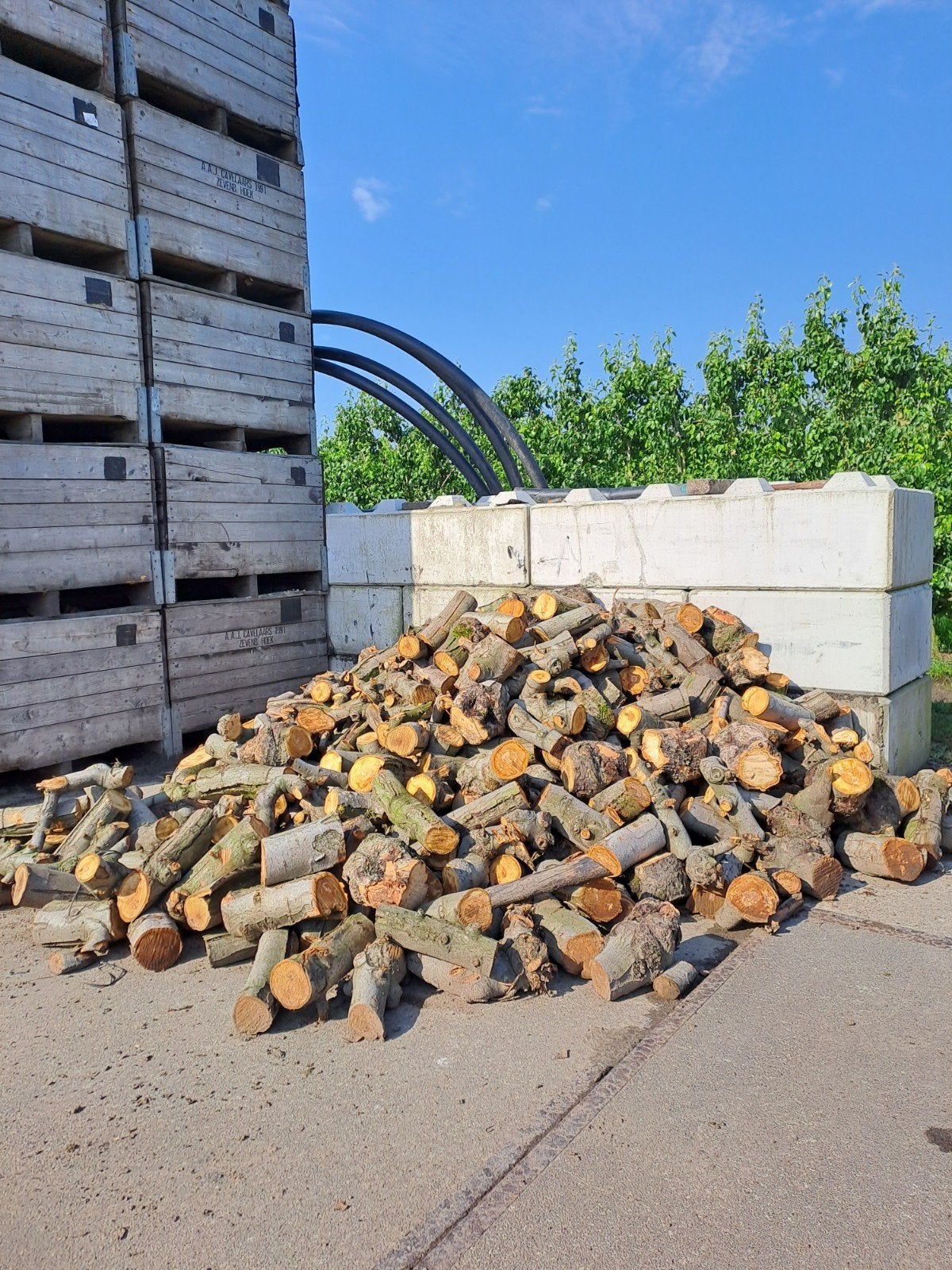 Dikke stammen Appelhout te koop, Tuin en Terras, Haardhout, Minder dan 3 m³, Ophalen