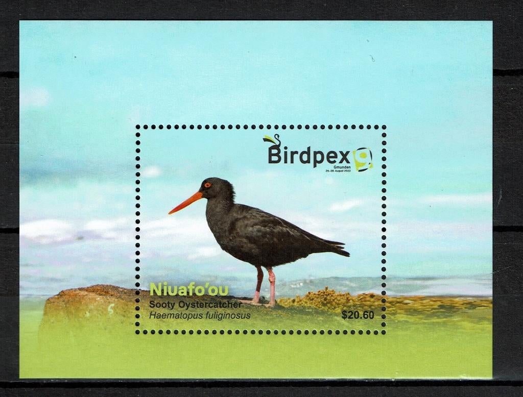 NIUAFO'OU 2022 PF BLOK SCHOLEKSTER VOGELS BIRDS BIRD PEX, Ophalen of Verzenden, Postfris, Dier of Natuur