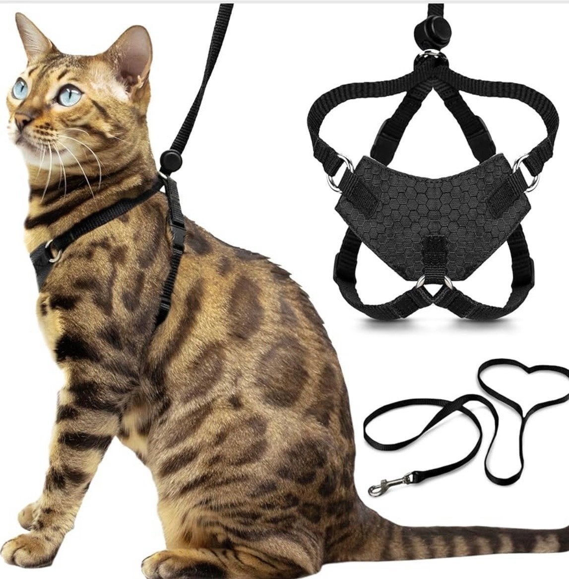 Houdini kattentuig Outdoorbengal, Dieren en Toebehoren, Ophalen of Verzenden, Nieuw