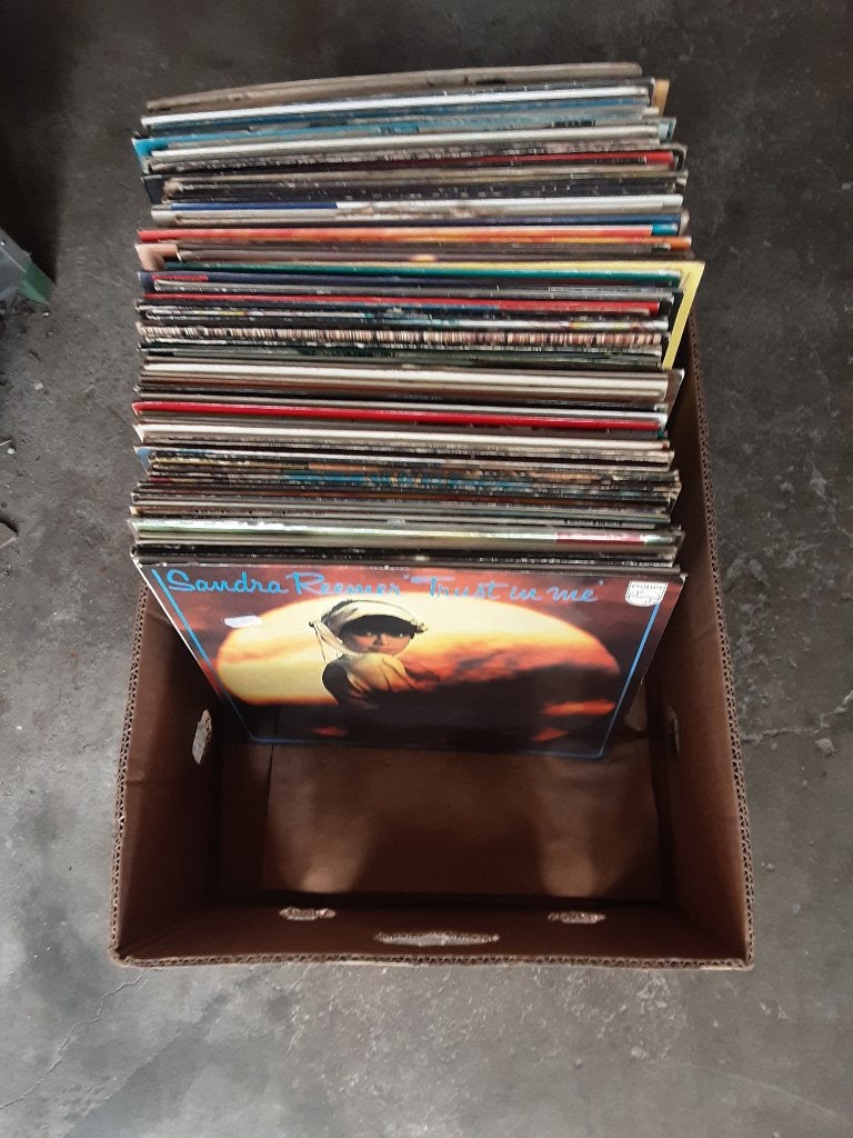 LPS meer als 50 stuks, Ophalen of Verzenden, Gebruikt, 12 inch