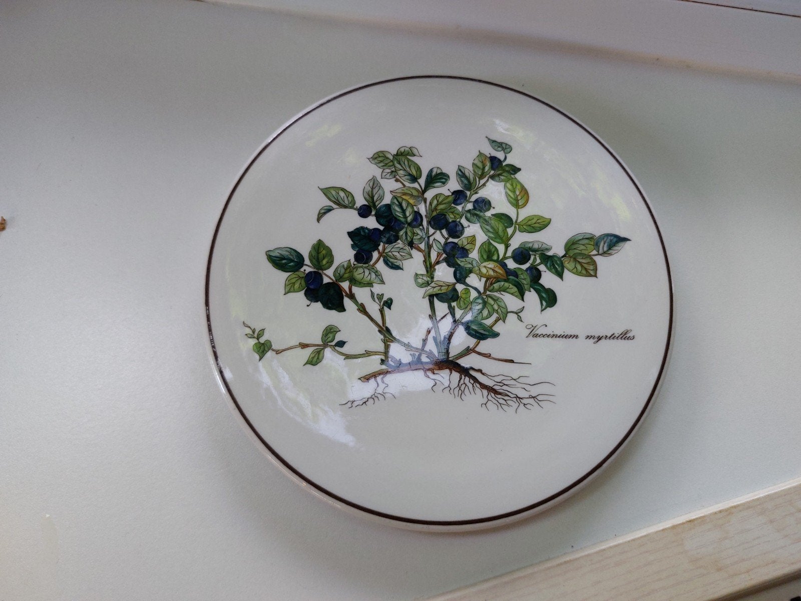 Villeroy & Boch Botanica Vaccinium Myrtillus bord, Ophalen, Zo goed als nieuw, Bord(en)