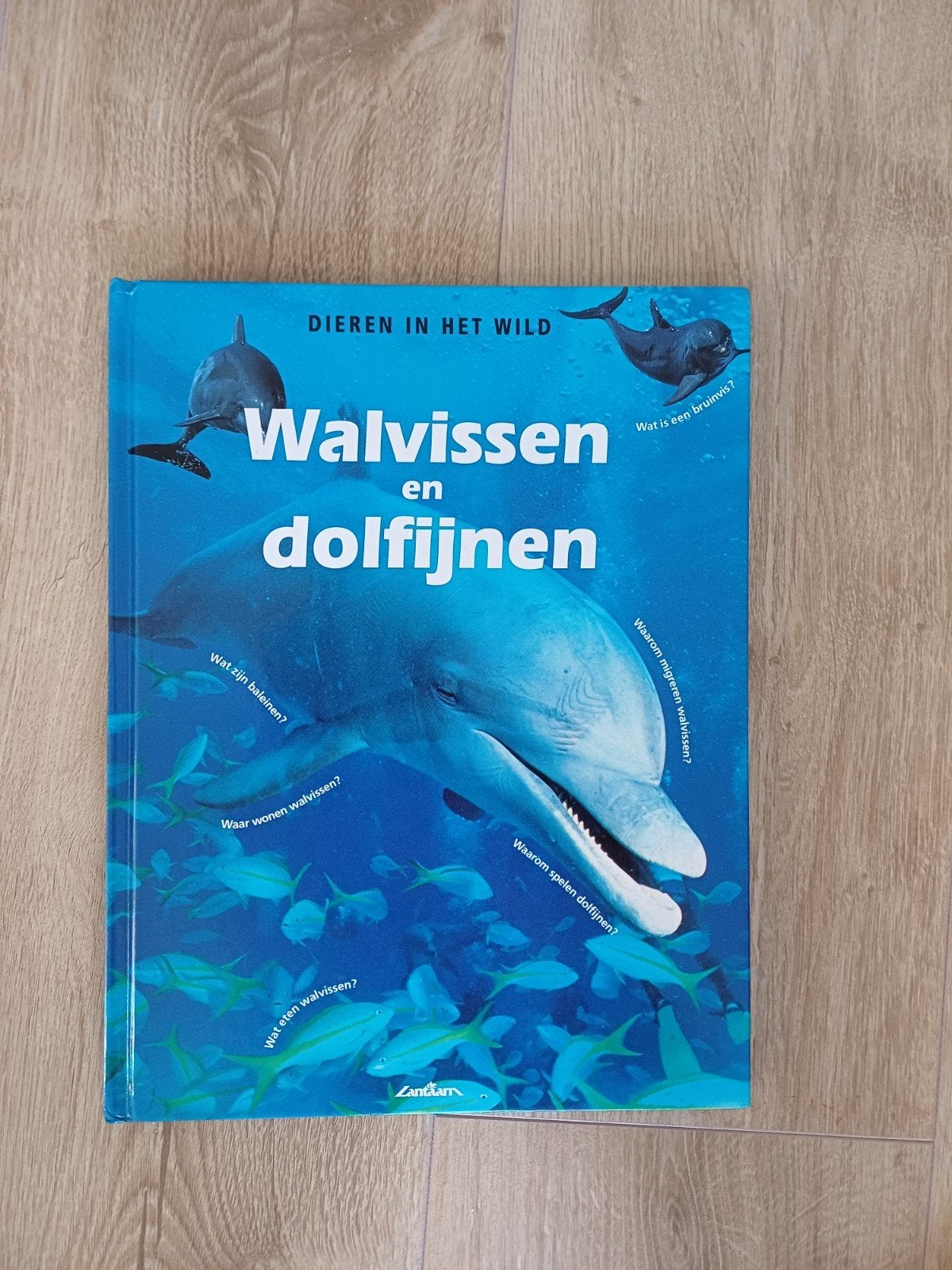 Boek walvissen en dolfijnen, Boeken, Ophalen, Zo goed als nieuw, Overige diersoorten
