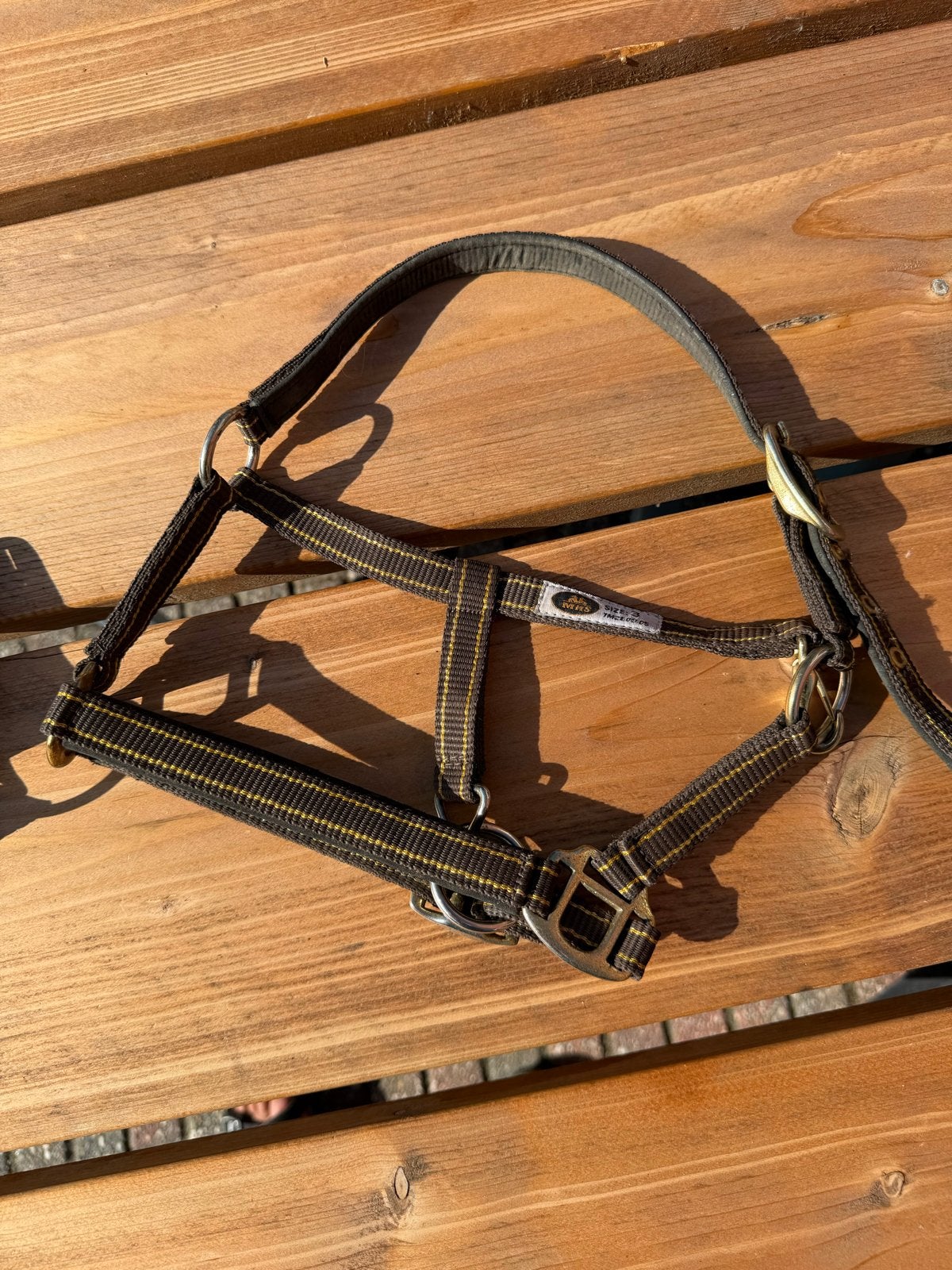 Halsters mini- paardje, mhs, zwart of bruin, Ophalen of Verzenden, Gebruikt