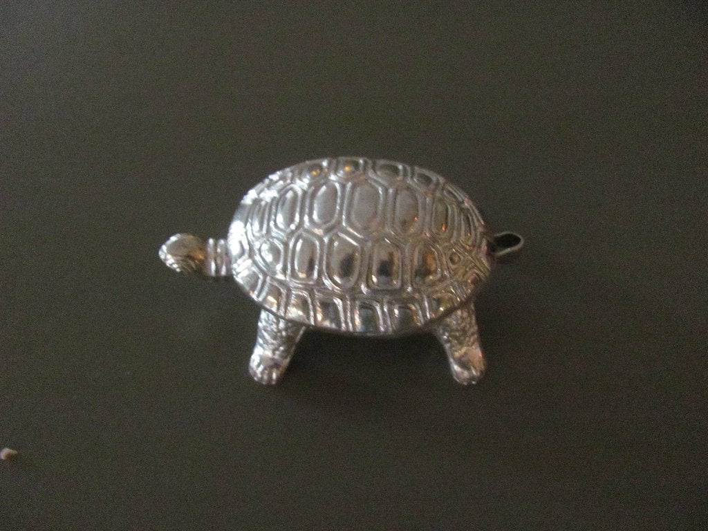 Schildpad - verzilverd?, Ophalen of Verzenden, Nieuw, Dier
