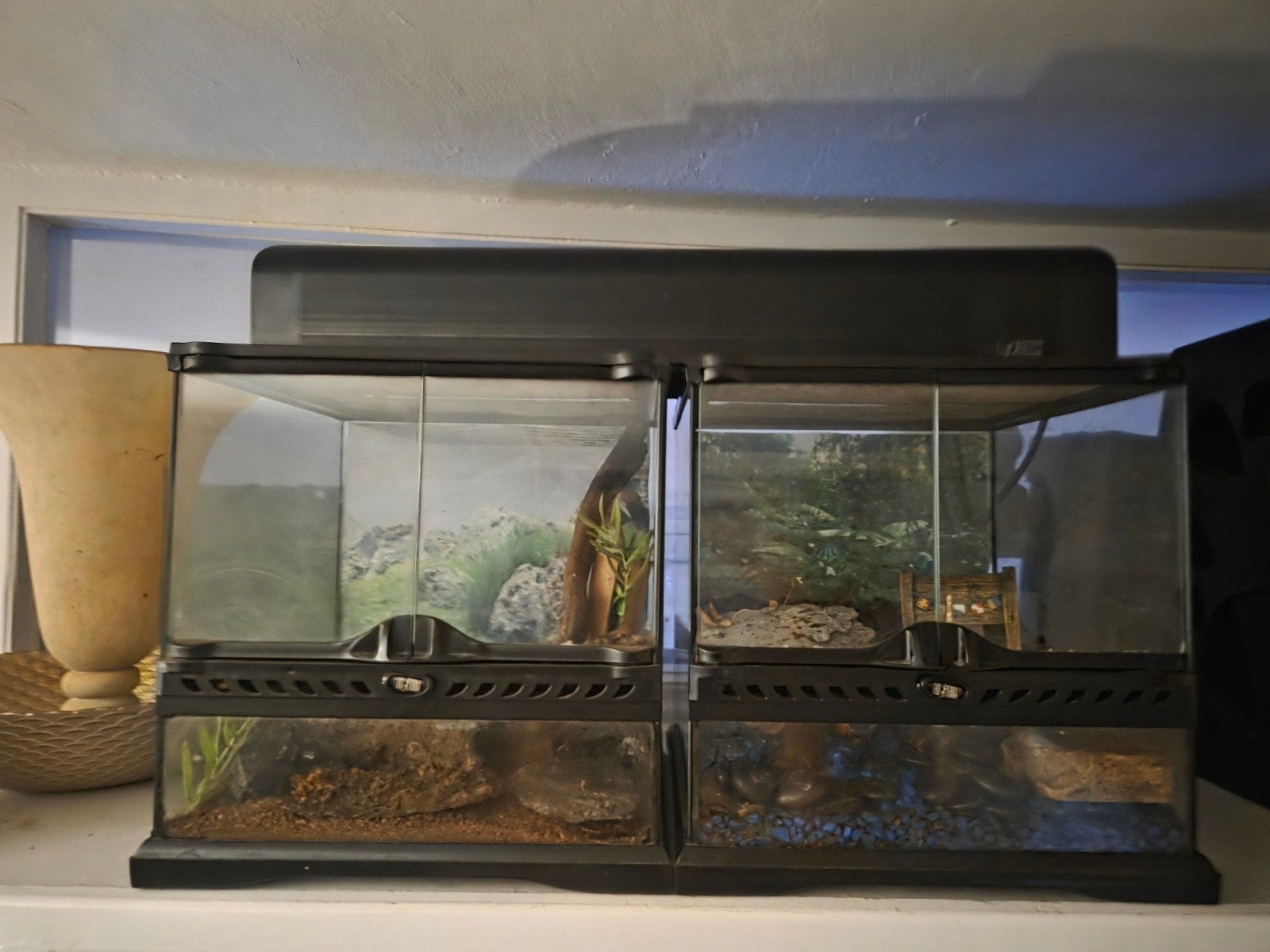 exo terra terrarium 2x, Ophalen, Zo goed als nieuw