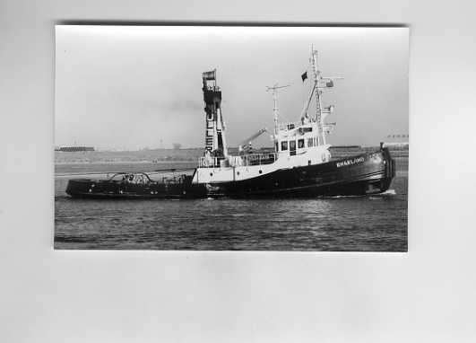 scheepvaart-foto-TERNEUZEN-MULLER-engeland, Ophalen of Verzenden, Zo goed als nieuw, Boek of Tijdschrift