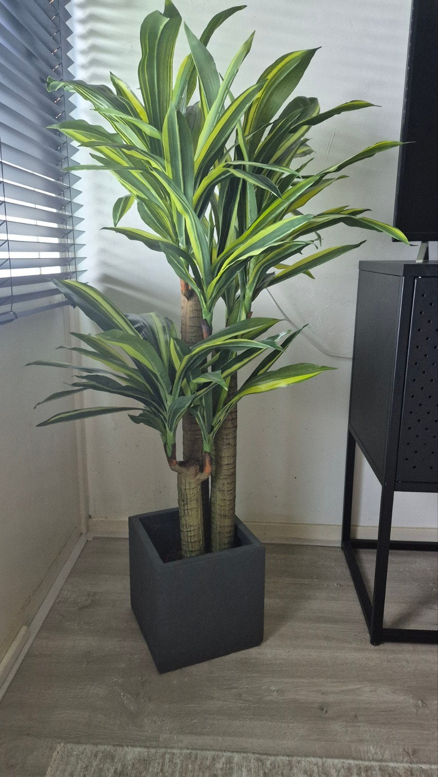 Grote Kunstplant Dracaena in Pot - 120 cm, Ophalen, Zo goed als nieuw, Kunstplant, 120 cm