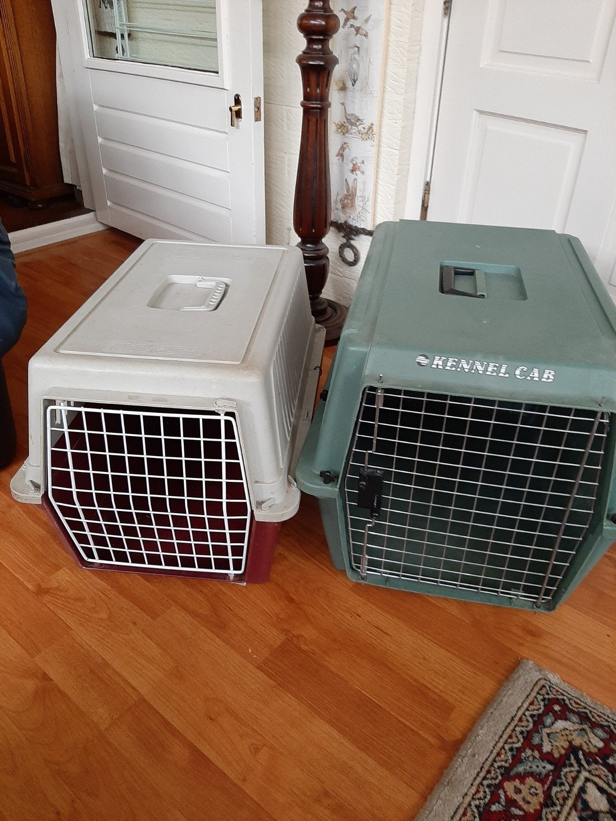 Transport box voor poes of hondje, Ophalen