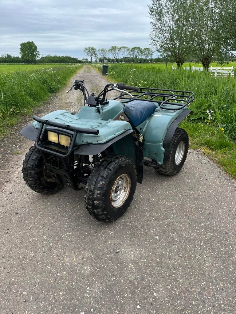 Yamaha timberwolf, Motoren, Quads en Trikes
