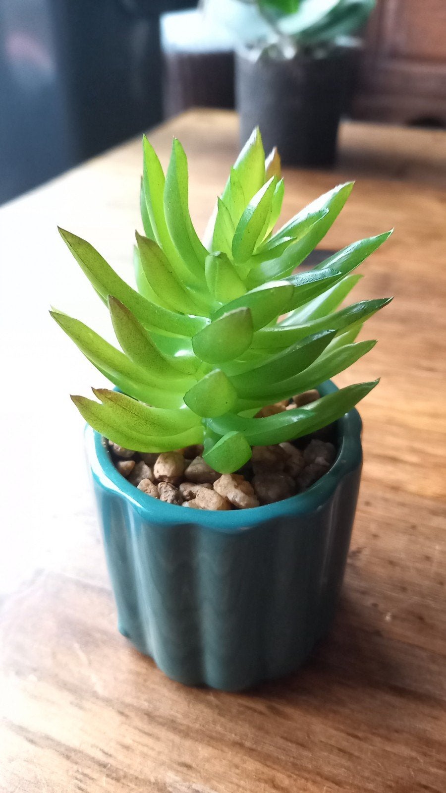 Kleine kunstplant succulent in potje, Groen, Kunststof, Ophalen of Verzenden, Zo goed als nieuw