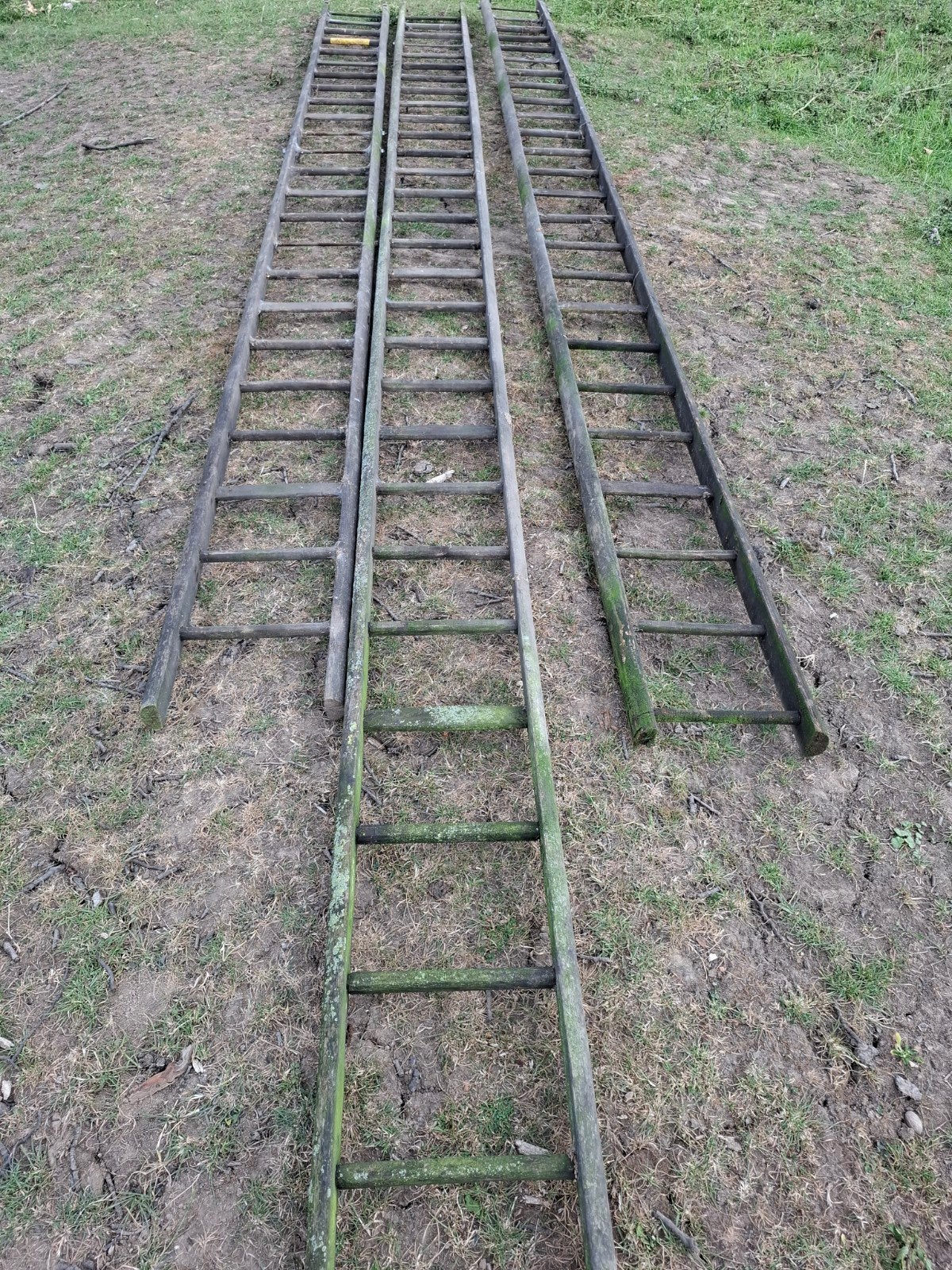 Fruitladder hout, Doe-het-zelf en Verbouw, Ladders en Trappen, Ophalen of Verzenden, Minder dan 2 meter