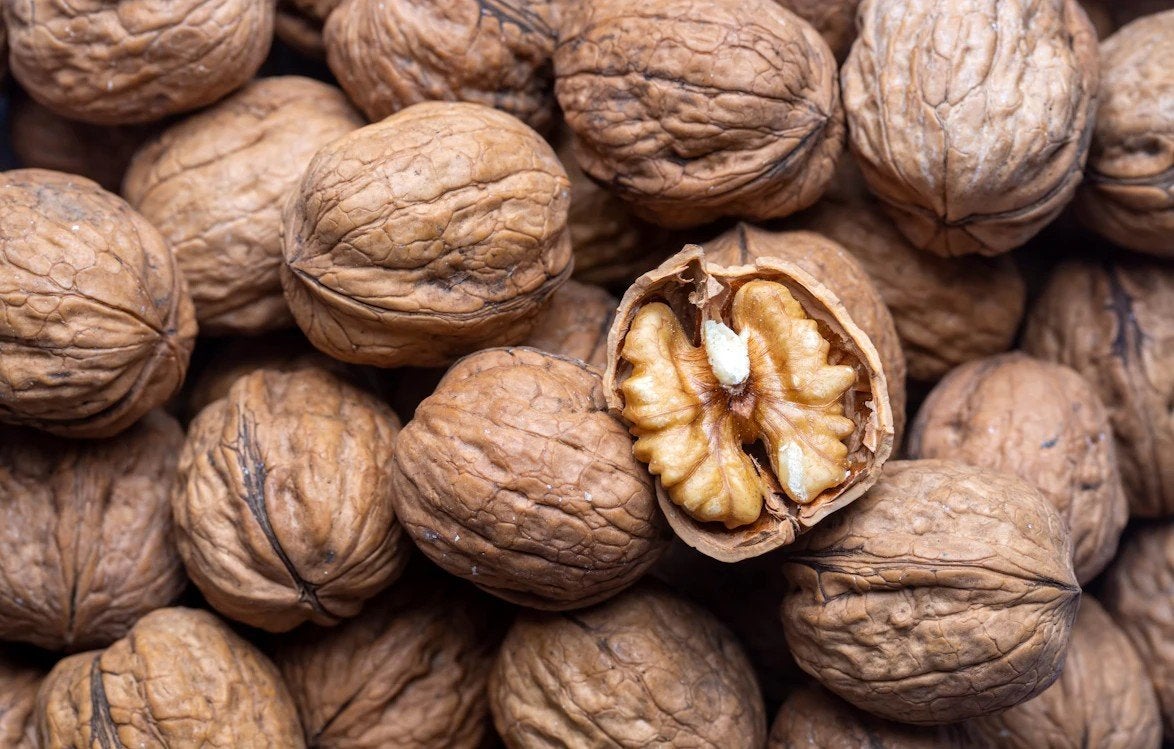 Verse biologische walnoten - €2,50 per kilo, Ophalen