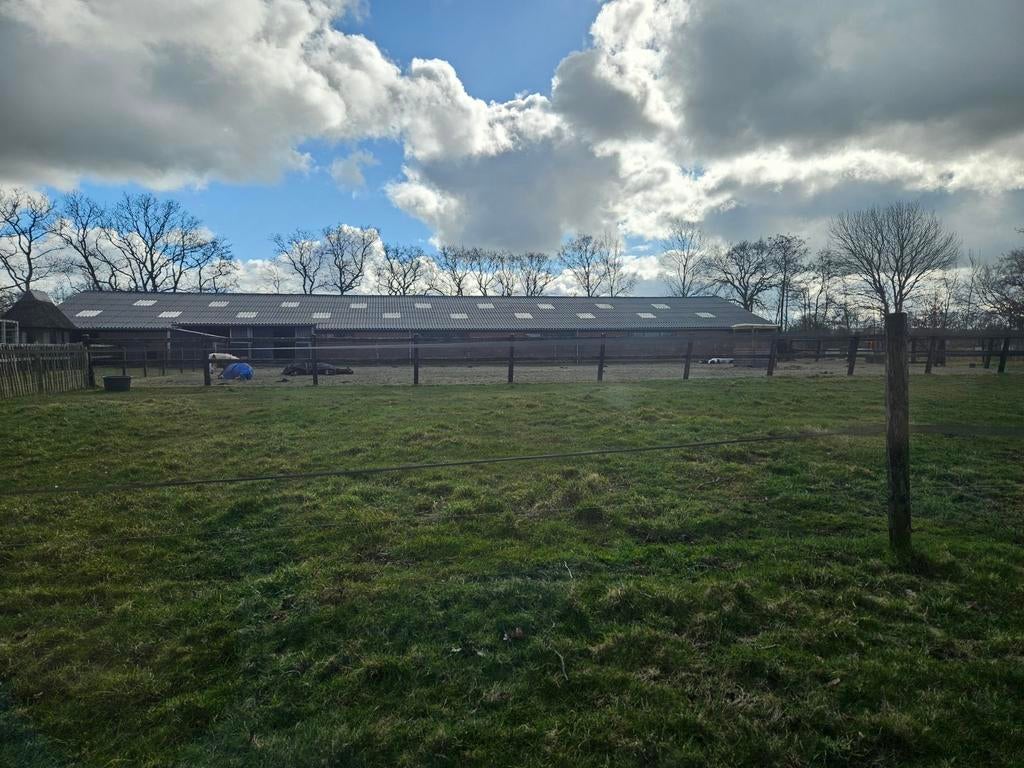 Stalling aangeboden, Dieren en Toebehoren, Stalling en Weidegang, Weidegang, 1 paard of pony
