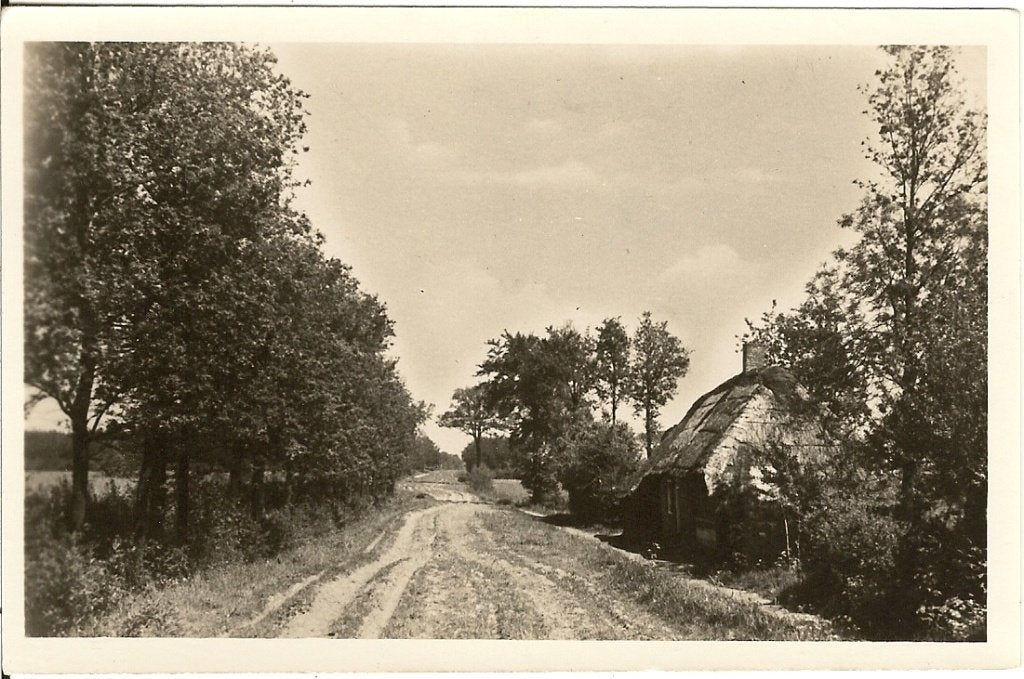 NS166 Leersum zandweg bij de meeuwen kolonie vd Horst Haag, Verzenden, 1940 tot 1960, Ongelopen, Utrecht