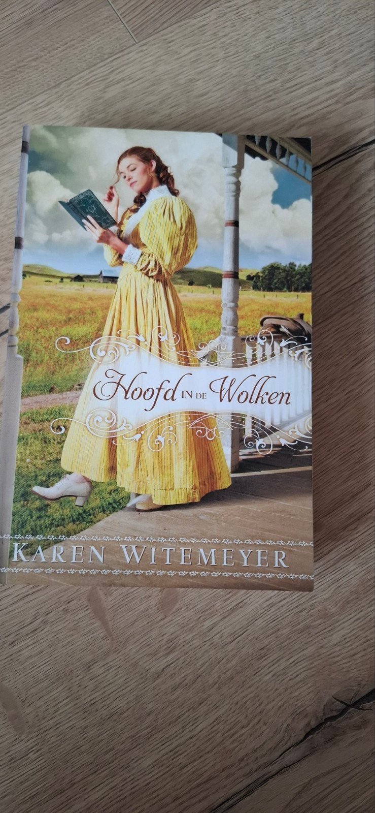 Hoofd in de Wolken - Karen Witemeyer (Roman), Boeken, Romans, Ophalen of Verzenden, Zo goed als nieuw, Karen Witemeyer, Nederland
