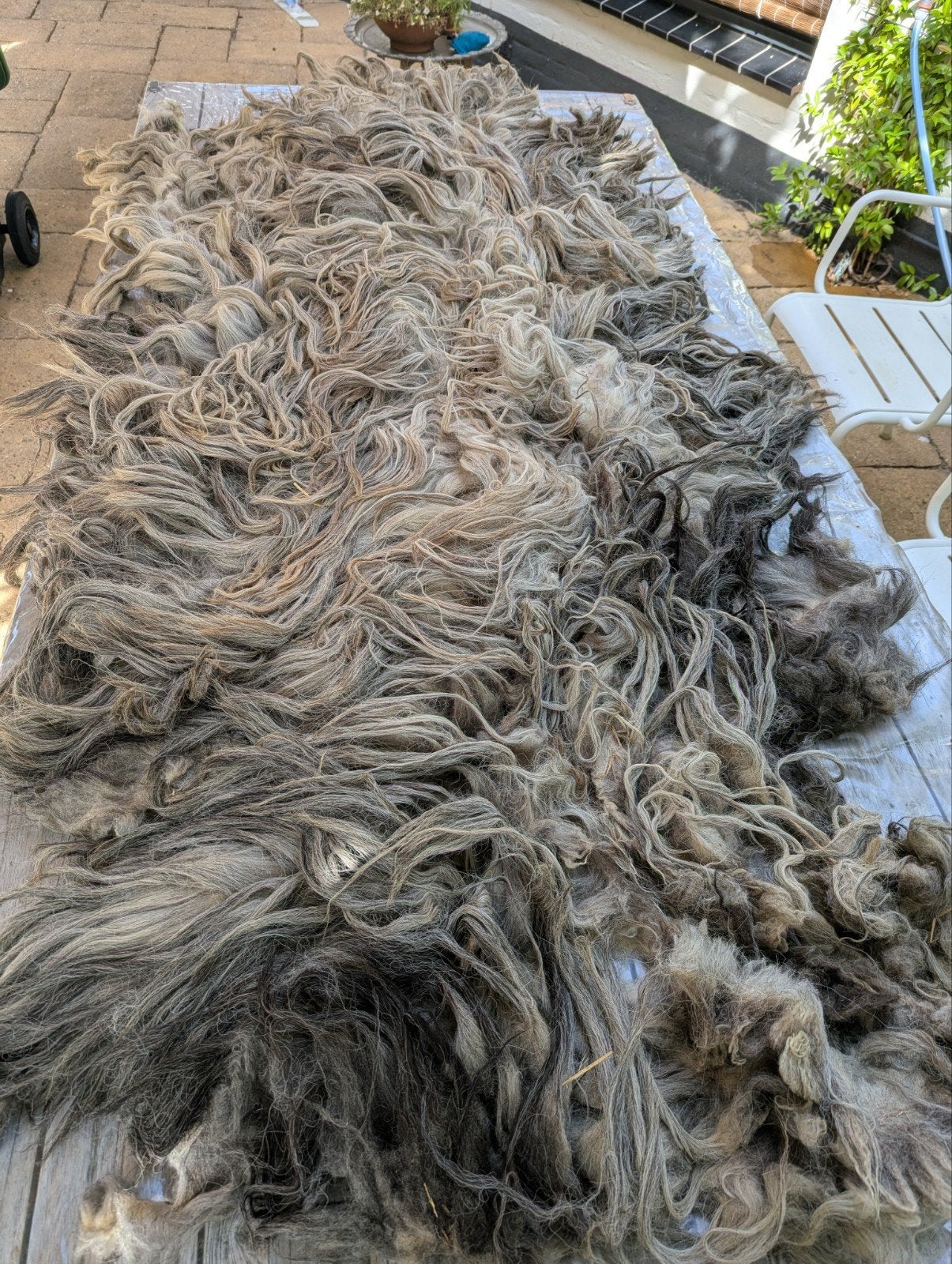 Mooie Ruwe vacht, wol Heidschnucke schaap, Hobby en Vrije tijd, Vilt, Nieuw, Ophalen of Verzenden