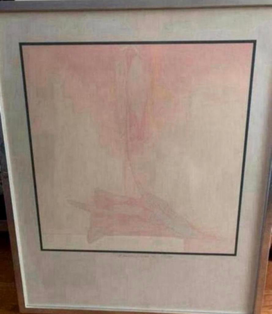 Schilderij Heel Licht Roze in Lijst. genummerd / gesigneerd, Antiek en Kunst, Ophalen of Verzenden