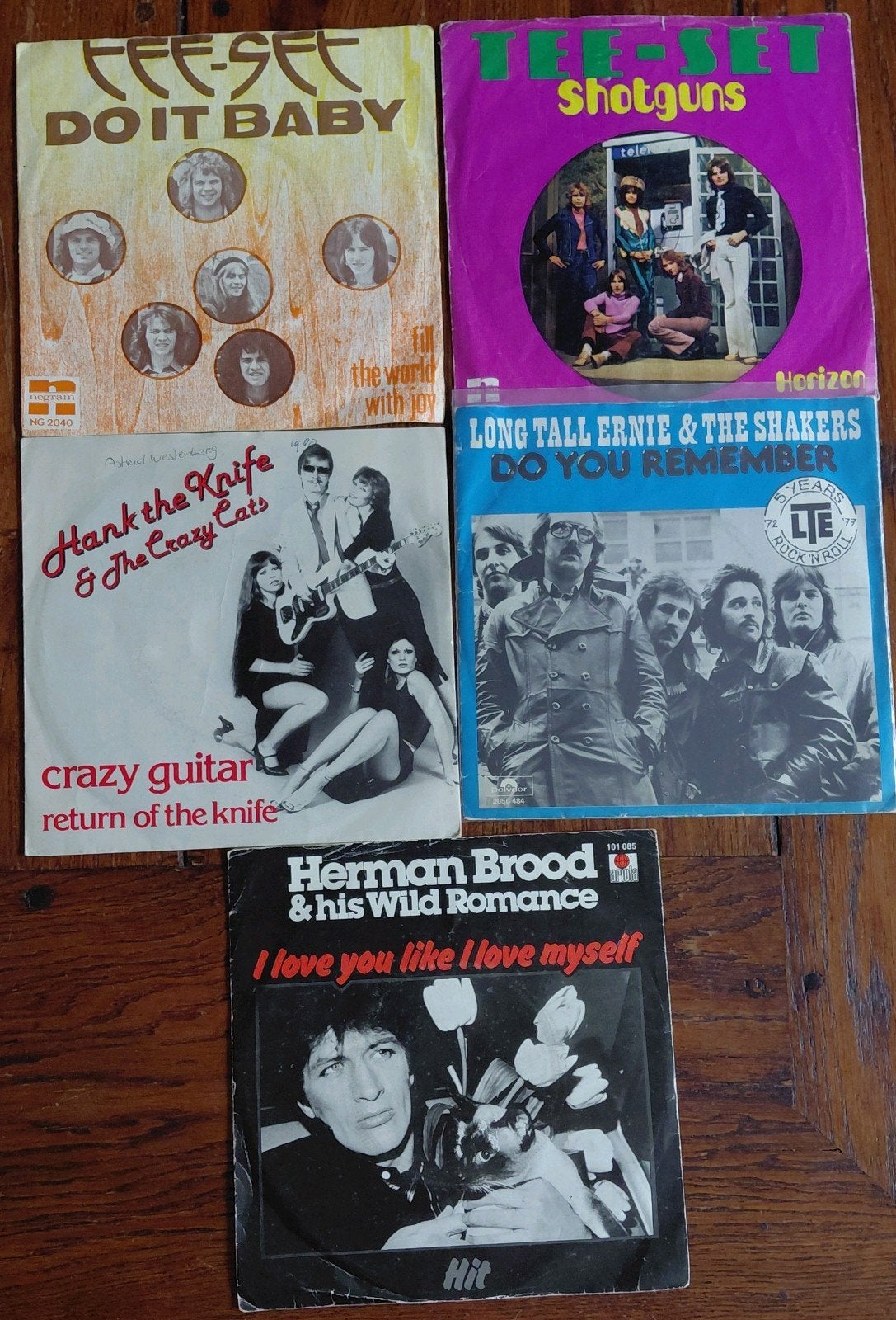 5x Nederrock singles, Herman Brood, Long tall ernie, Gebruikt, Originele persing, 7 inch, Ophalen of Verzenden