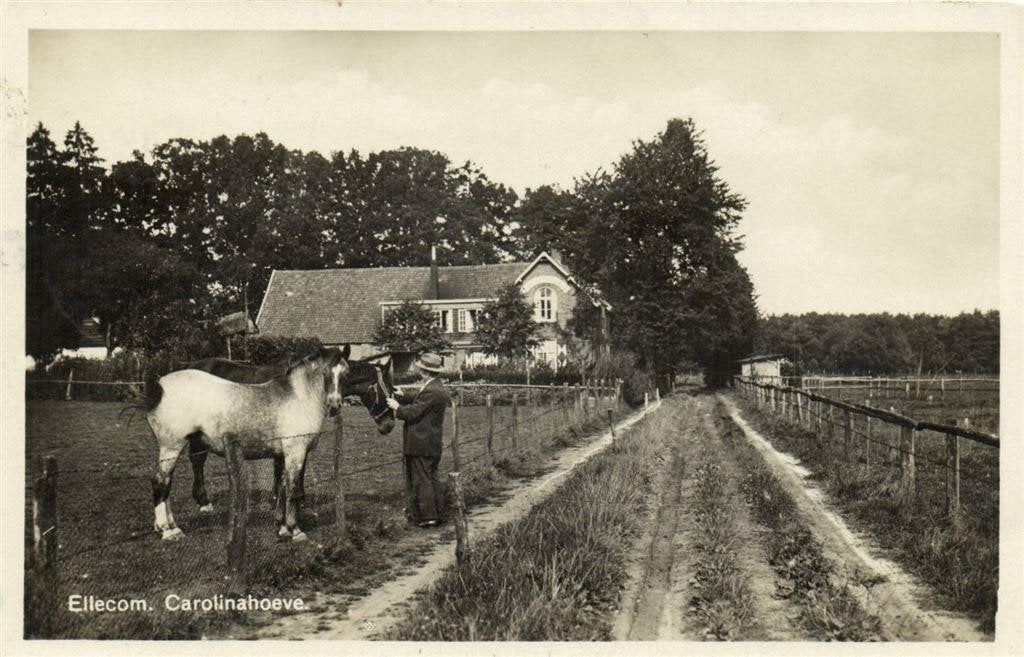 Ellecom. Carolinahoeve - man paarden - 1933 gelopen, Verzenden, 1920 tot 1940, Gelopen, Noord-Brabant
