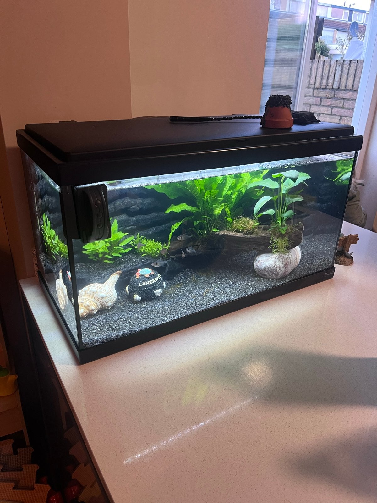 Super mooi Aquarium 80 liter!, Ophalen