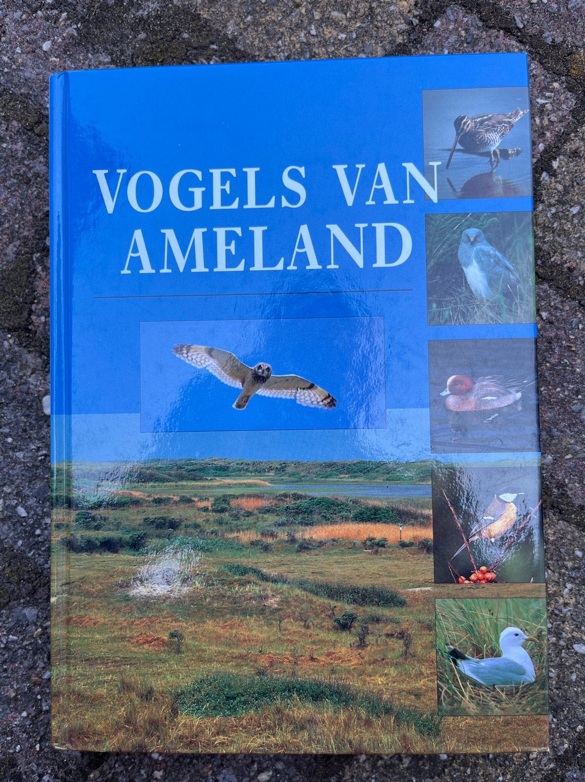 Vogels van Ameland - Natuurgids, Ophalen of Verzenden, Zo goed als nieuw, Vogels