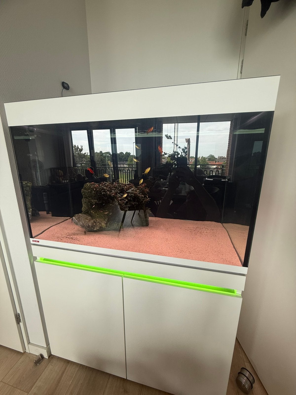 Eheim inspiria 330 wit, Ophalen, Nieuw, Gevuld zoetwateraquarium, Inclusief vissen