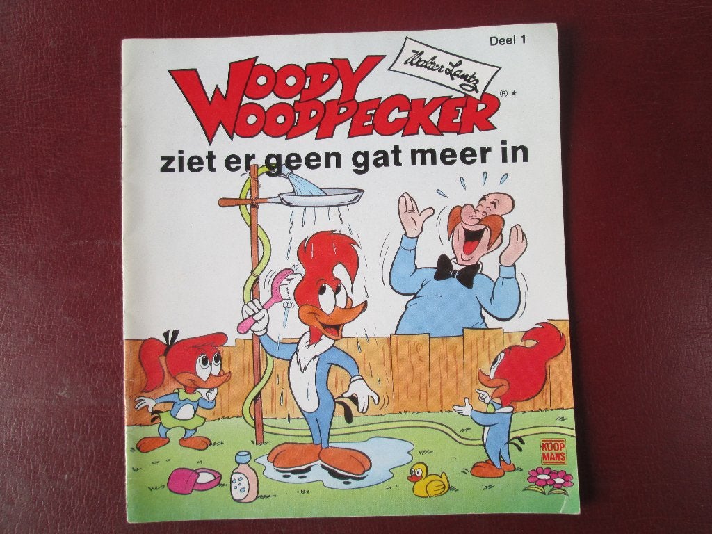 Woody Woodpecker ziet er geen gat meer in, Fictie algemeen, Jongen of Meisje, Ophalen of Verzenden, Zo goed als nieuw