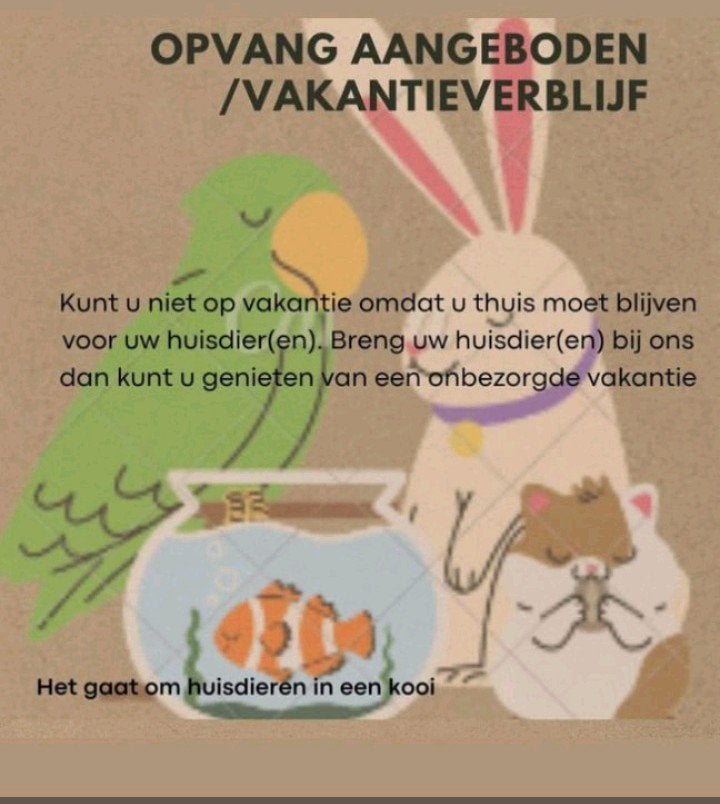 kittens/ opvang aangeboden voor dieren en kind/eren zie foto, Geslacht onbekend, Kortharig, 3 tot 5 jaar