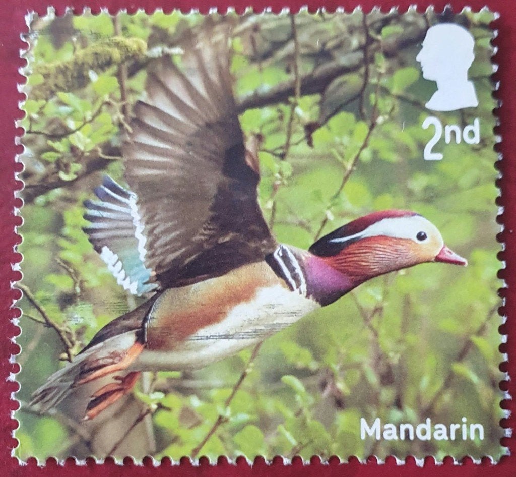 273-26 Engeland / Mandarin - Mandarijneend, Verzenden, Gestempeld