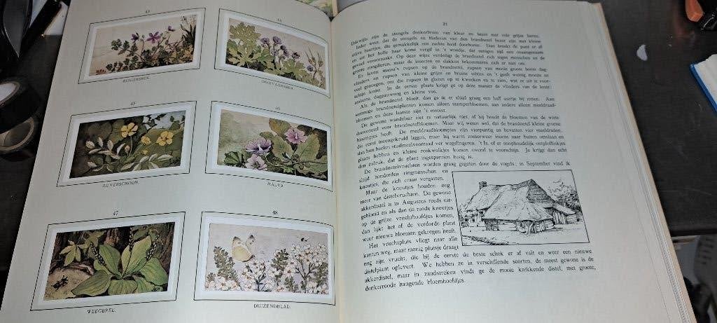 Zomer-Jac.P.Thijsse-plaatjesalbum Verkade (Z245-160), Ophalen of Verzenden, Zo goed als nieuw