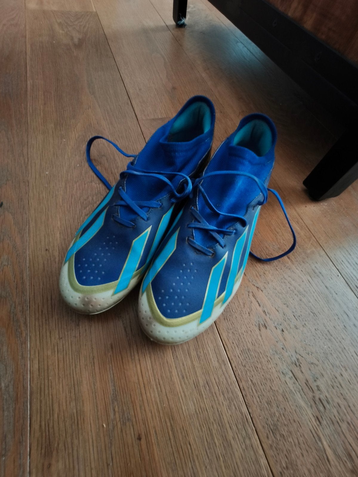 Adidas Messi voetbalschoenen (echt/kunstgras) - Maat 42 ⅔, Sport en Fitness, Voetbal, Ophalen of Verzenden, Zo goed als nieuw
