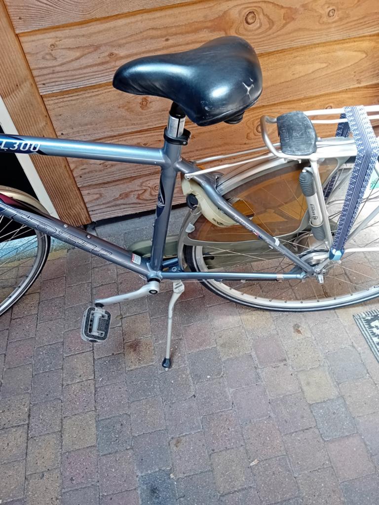Fiets merk Trek, Fietsen en Brommers, Fietsen | Heren | Herenfietsen, Ophalen, Overige merken