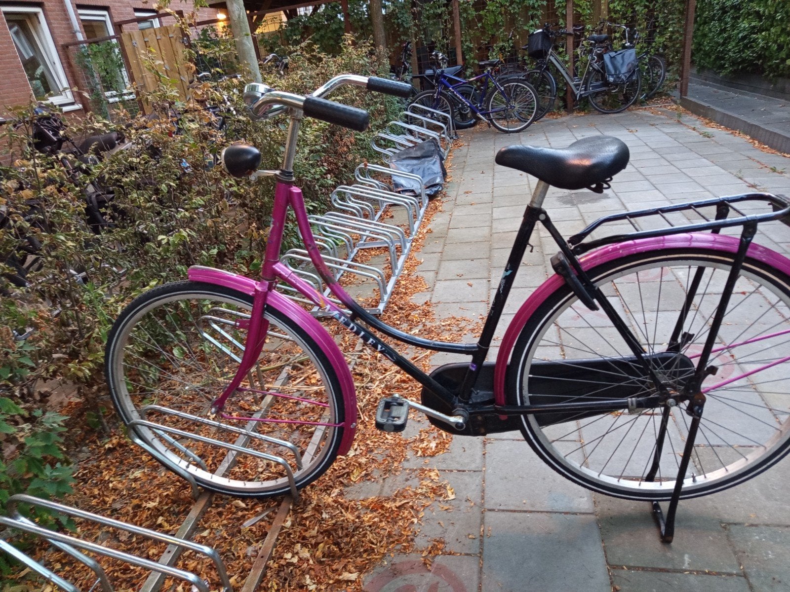Dames fiets, Ophalen, Gebruikt, Terugtraprem