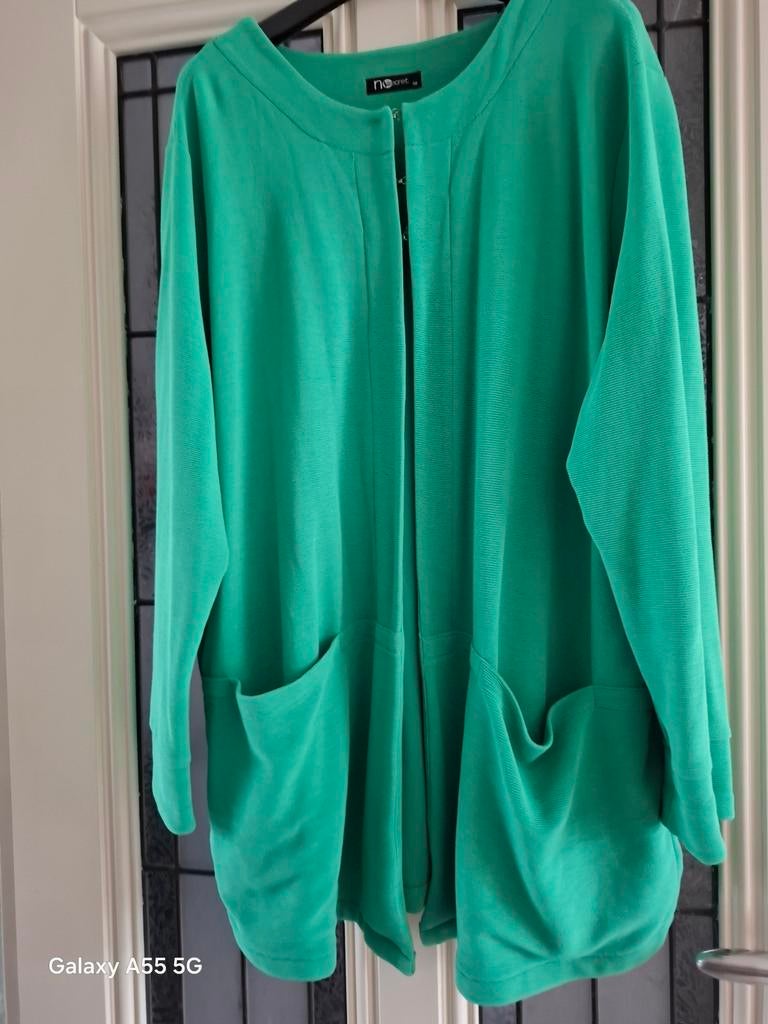 NO SECRET MAAT 48/50 VEST, Kleding | Dames, Grote Maten, Verzenden, Zo goed als nieuw, Groen, Trui of Vest