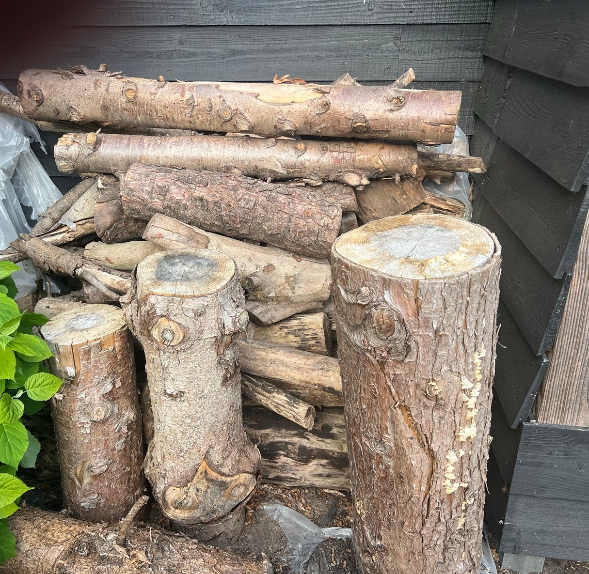 Brandhout: Stammen en Takken - Diverse Houtsoorten, Tuin en Terras, Haardhout, Minder dan 3 m³, Ophalen, Overige houtsoorten, Blokken