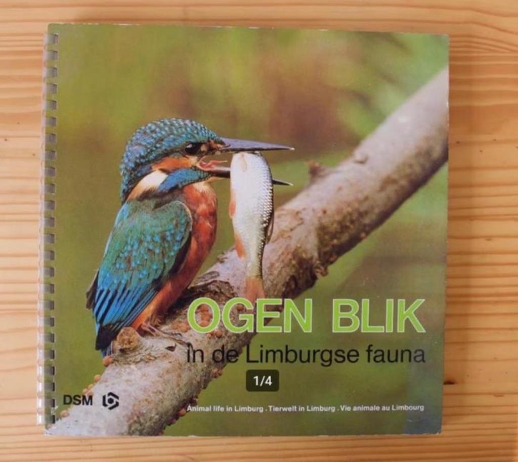 DSM boek / kalender Ogenblik in de Limburgse fauna, Diversen, Kalenders, Ophalen of Verzenden, Maandkalender, Gebruikt