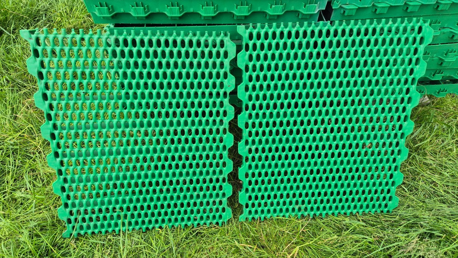 Kunststof roosters Leenders, Dieren en Toebehoren, Geslacht onbekend, Varken