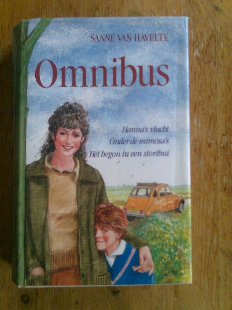 Sanne van Havelte,  2 omnibussen, Ophalen of Verzenden, Zo goed als nieuw