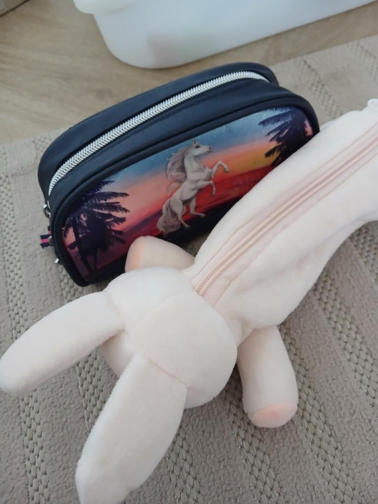 Etui, Ophalen of Verzenden, Zo goed als nieuw, Jongen of Meisje