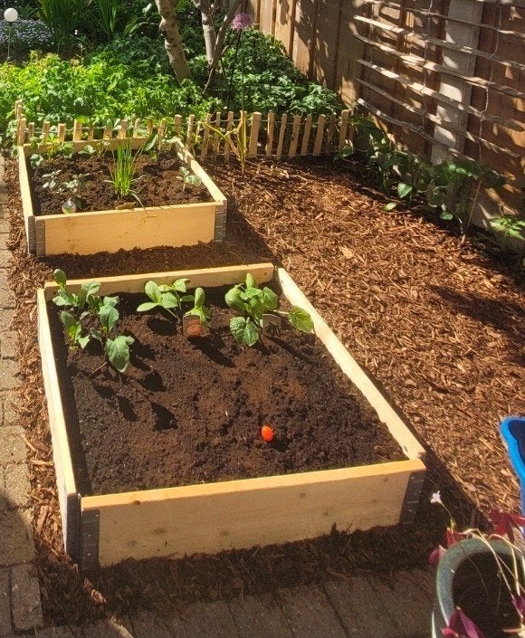 Moestuin bak, Ophalen, Rechthoekig, Hout, Minder dan 30 cm