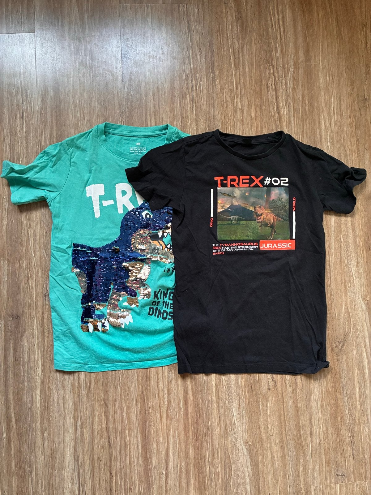 T-Rex T-shirts voor jongens (dino dinosaurus shirtjes shirt), Ophalen of Verzenden, Gebruikt, Jongen