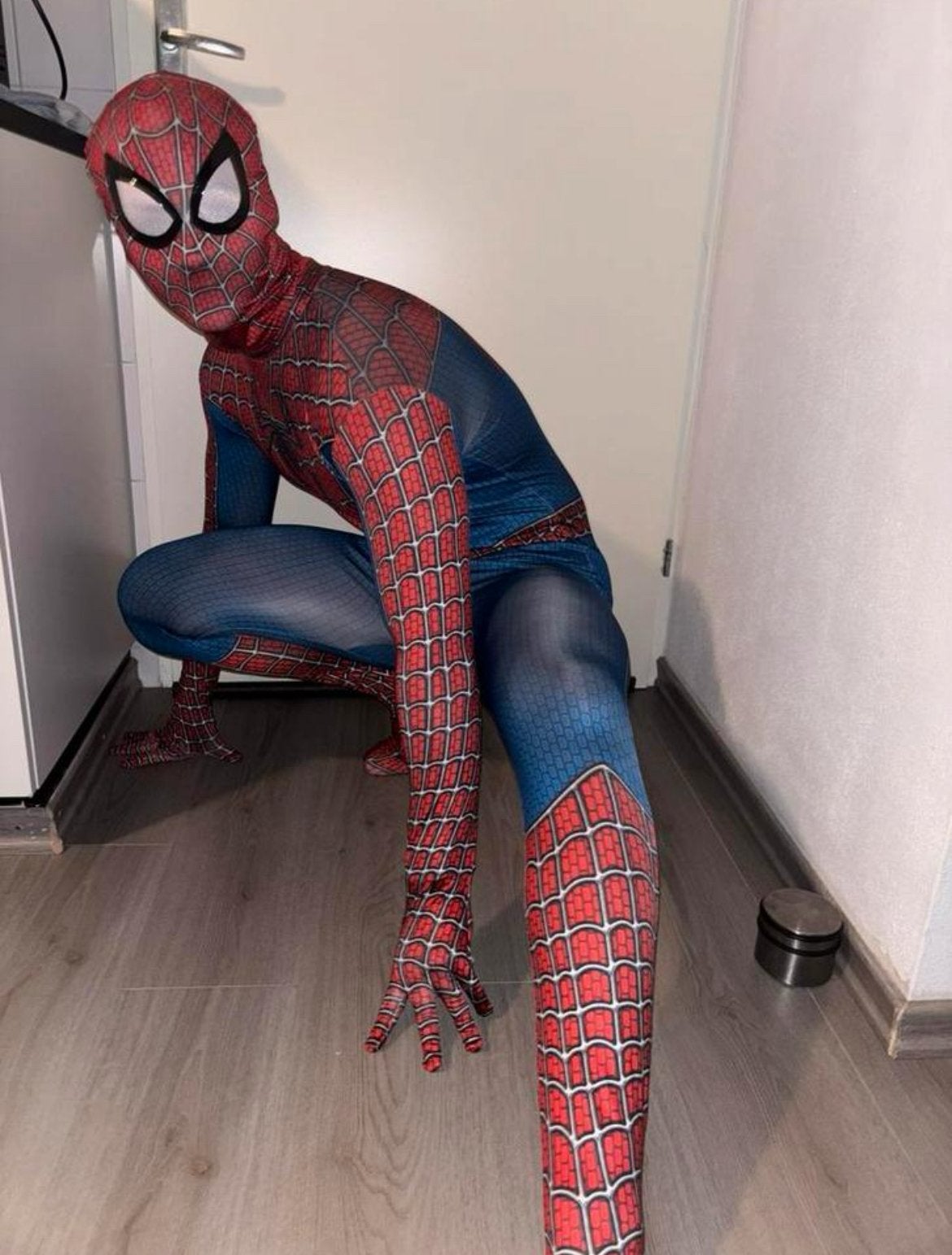 SPIDER-MAN MASCOTTE VERHUUR, Ophalen of Verzenden, Zo goed als nieuw, Verjaardag