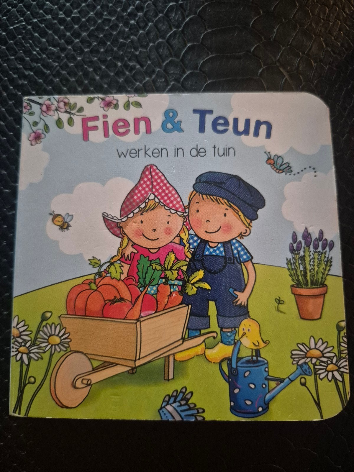 Fien en Teun, Ophalen of Verzenden, Zo goed als nieuw, 3 tot 4 jaar