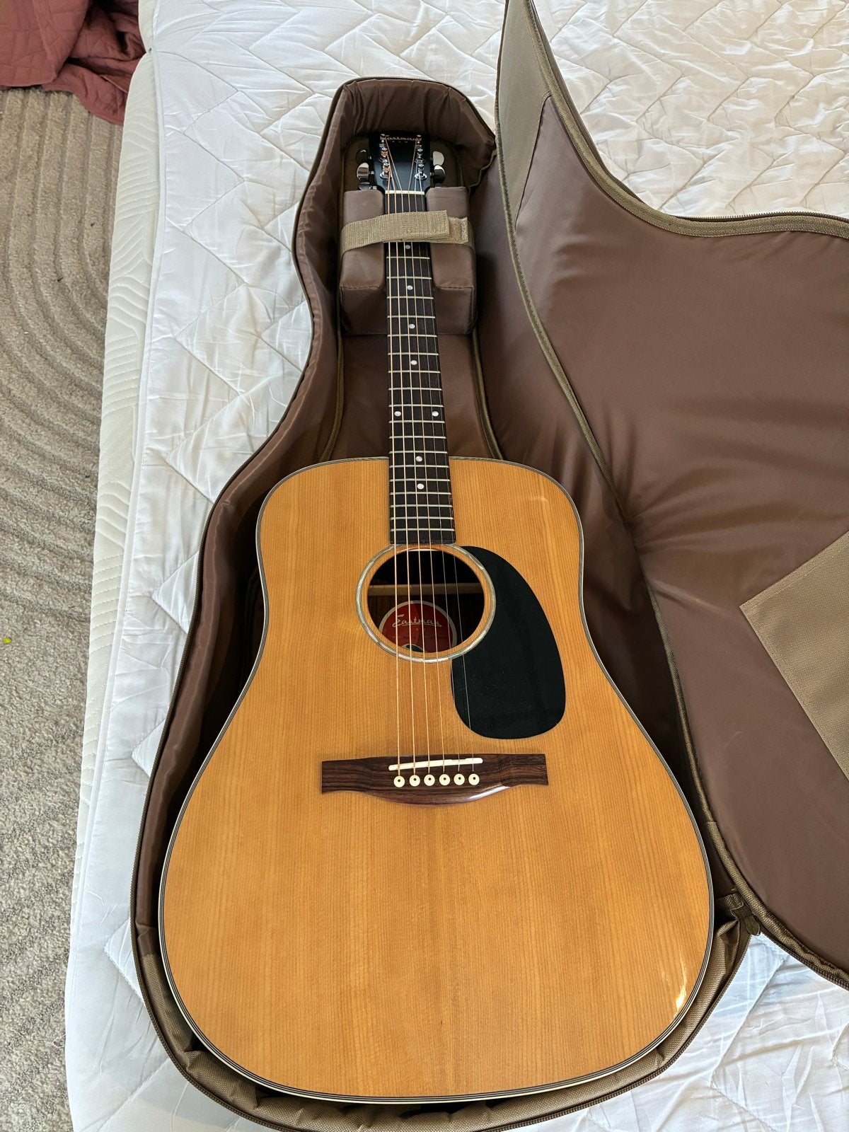Eastman PCH2-D gitaar met extra’s, Ophalen, Zo goed als nieuw, Western- of Steelstringgitaar, Met koffer