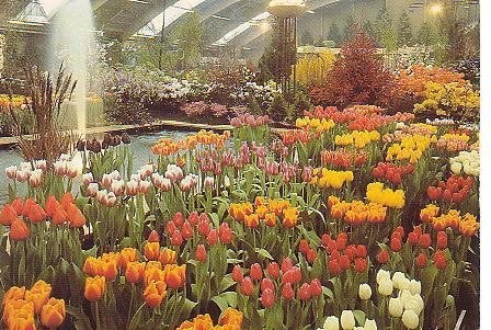 Ansichtkaart 	Bovenkarspel	Westfriese Flora, Verzenden, 1980 tot heden, Gelopen, Noord-Holland