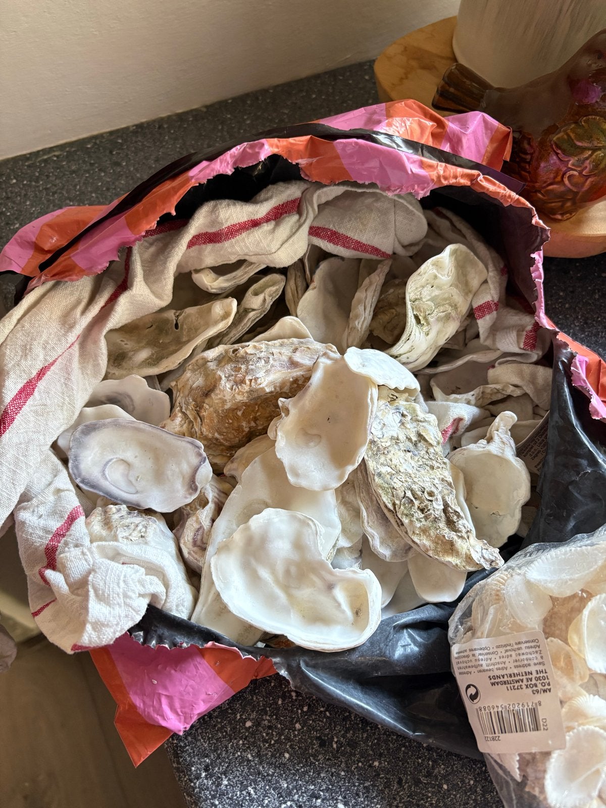 Zak schelpen voor knutselen of decoratie, Zee en Strand, Gebruikt, Ophalen of Verzenden, Natuurlijk materiaal