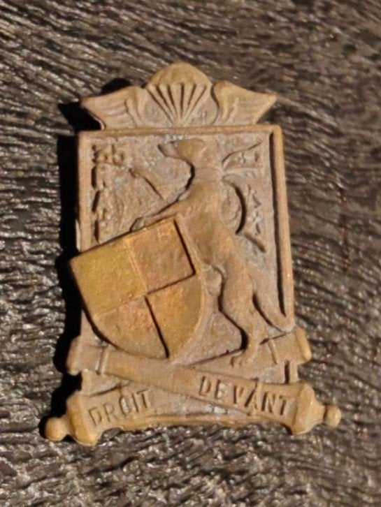 35th Parachute Light Artillery Regt (35e RALP) French Army, Ophalen of Verzenden, Landmacht, Amerika, Embleem of Badge